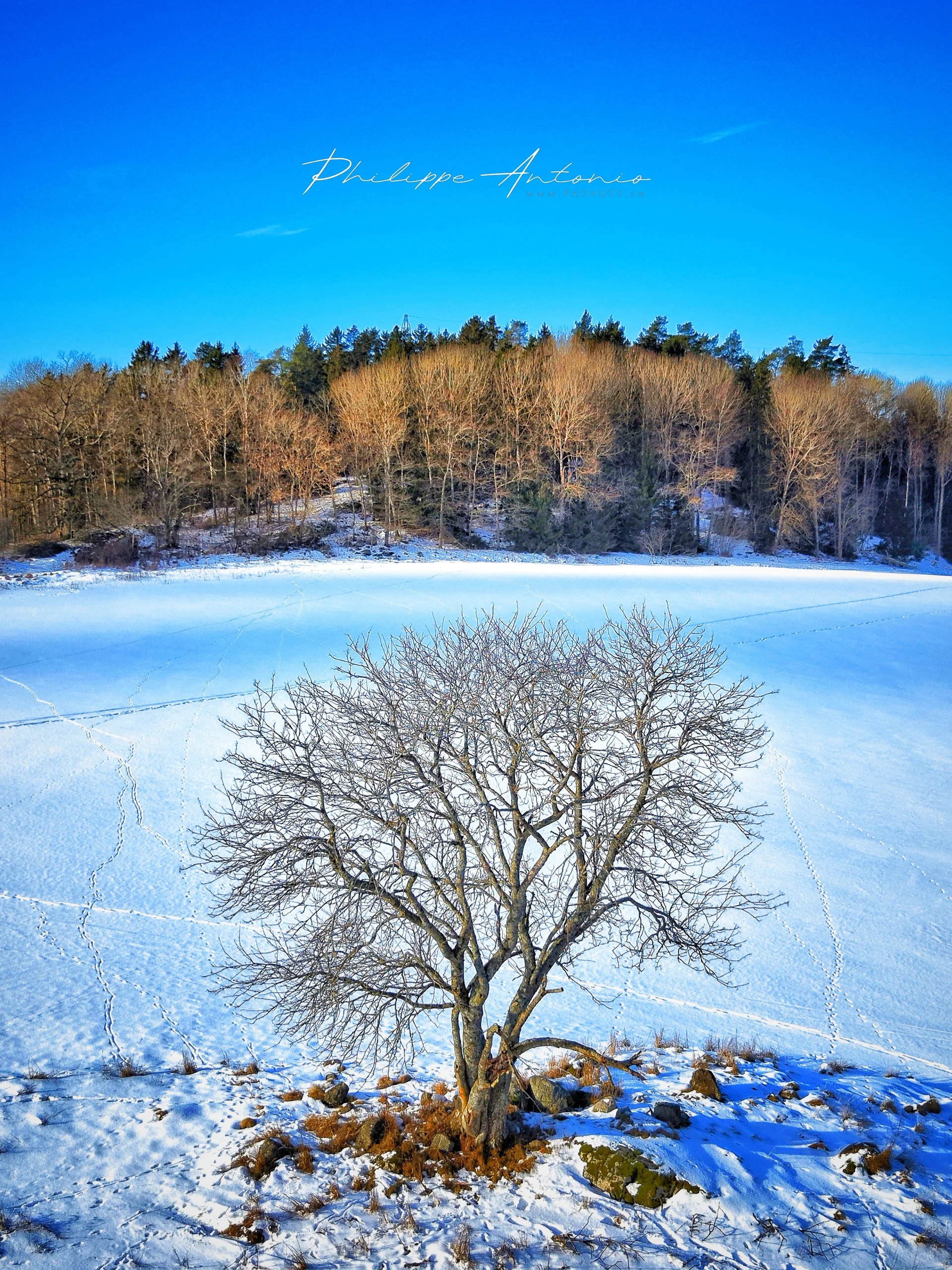 Wintersoledad